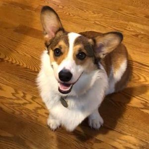 Meet your Posher, Brooke